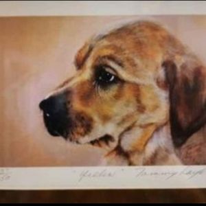 𝅺TAMMY Laye "Yeller" limited edition printmatted & framed under glass